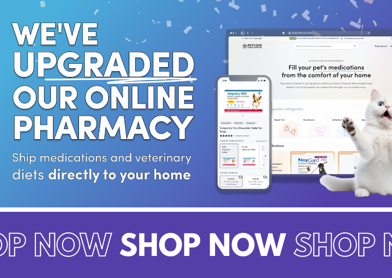 Carousel Slide 7: Prairie Village online veterinary pharmacy